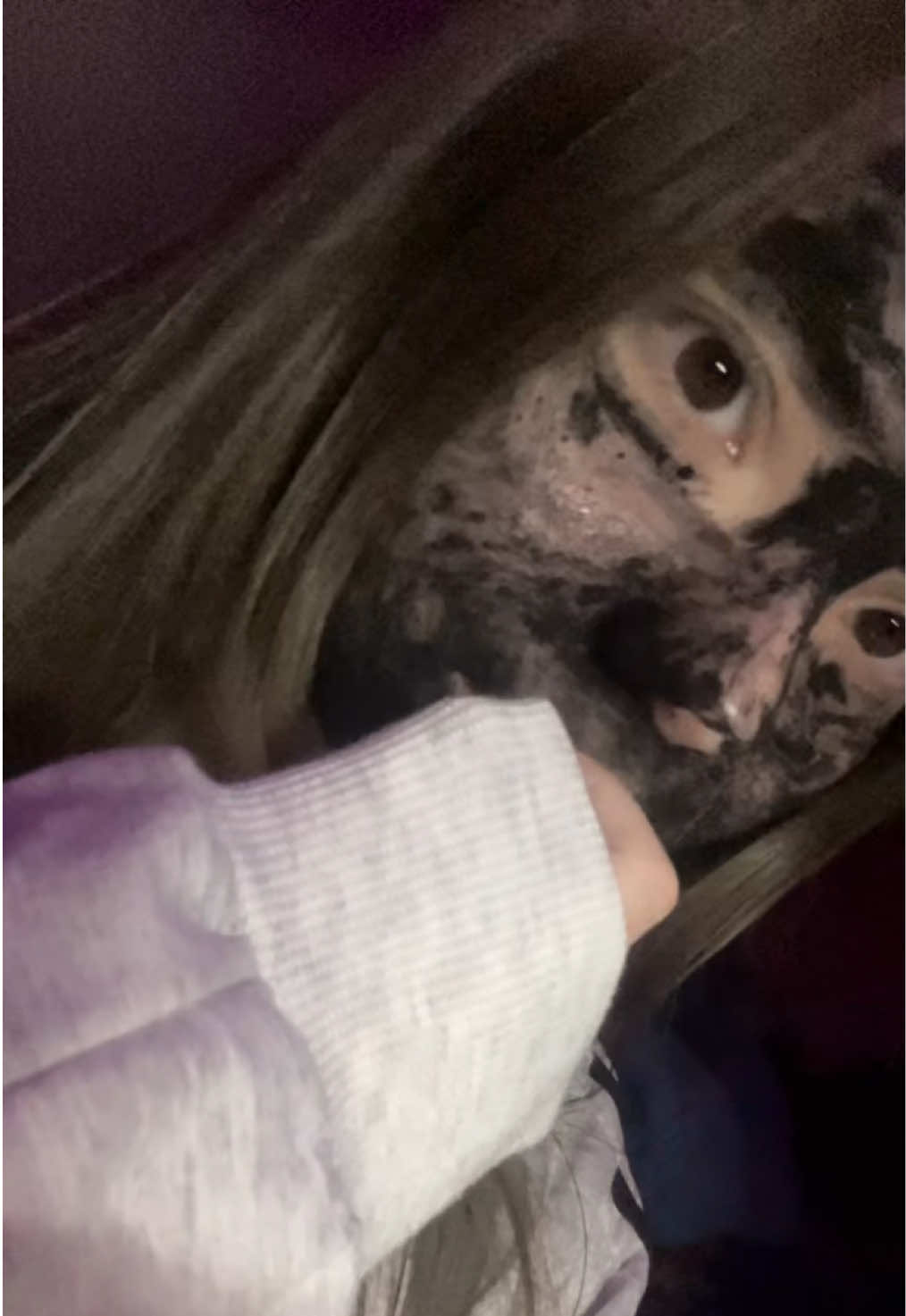 @риностоп