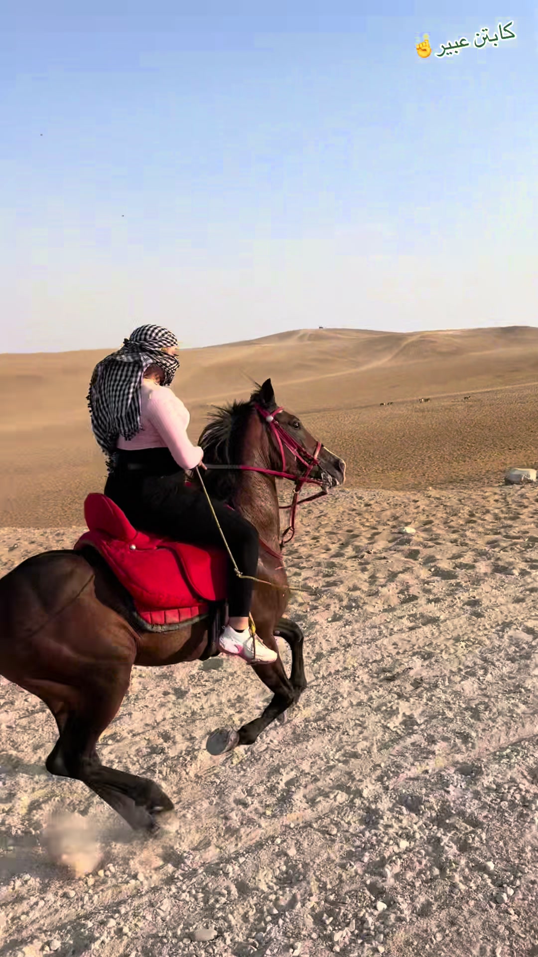 @الكابتن عبير🐎🥇🏆