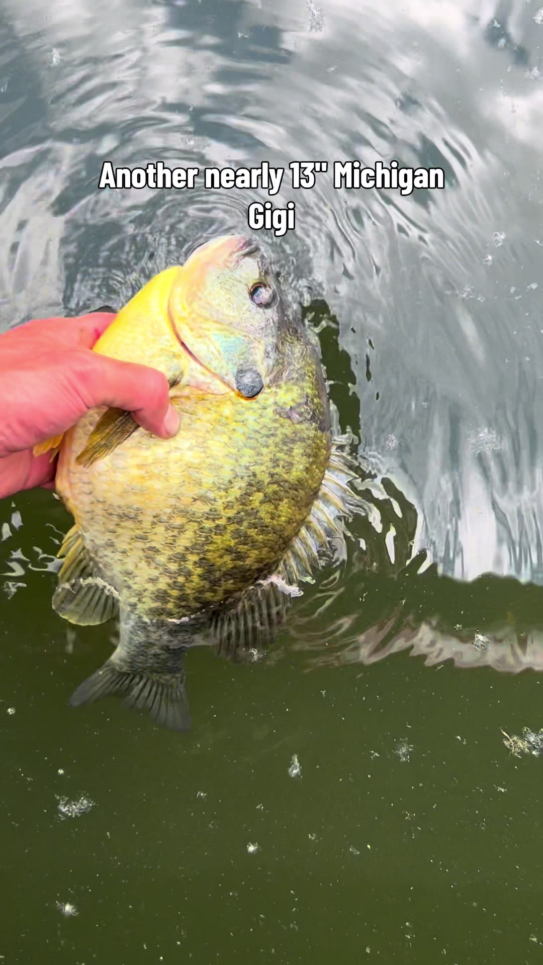 @Anglers3dOutpost