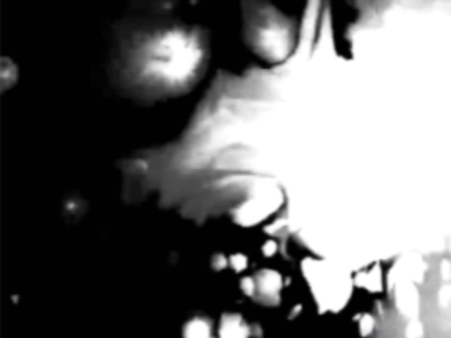 @★ 𝒕𝒊𝒔𝒉𝒌𝒂