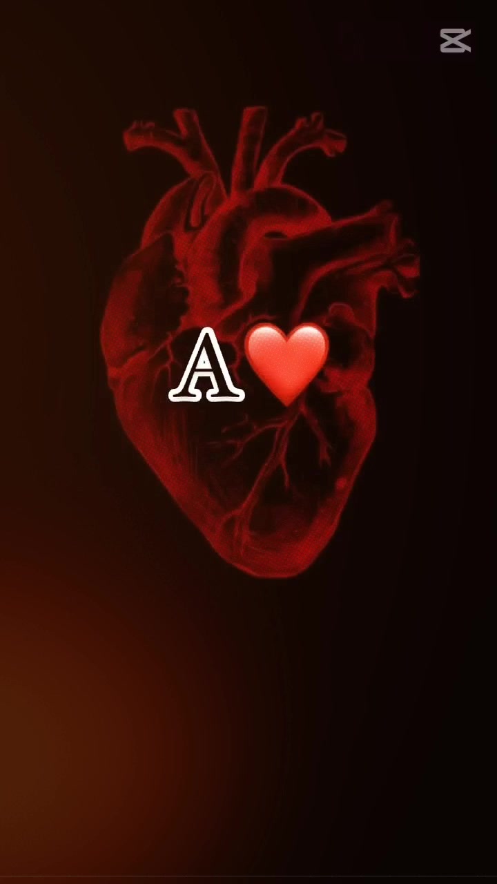 @═══❥❥❤━٨ـﮩﮩ❤٨ـﮩ━❤️❥❥═══
