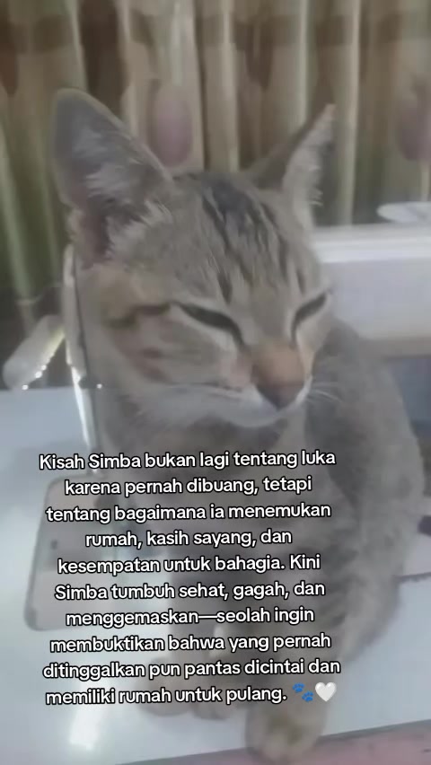 @Lina herlina