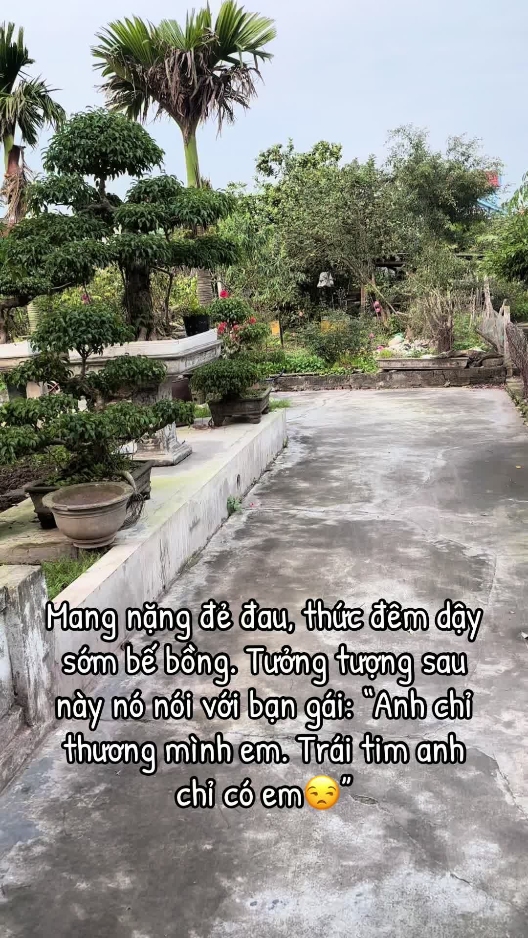@theubui97