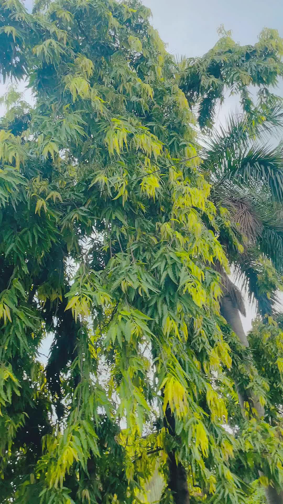 @🇳🇵𝓑𝓲𝓶𝓪𝓵 𝓼𝓪𝓱𝓪𝓷𝓲❤