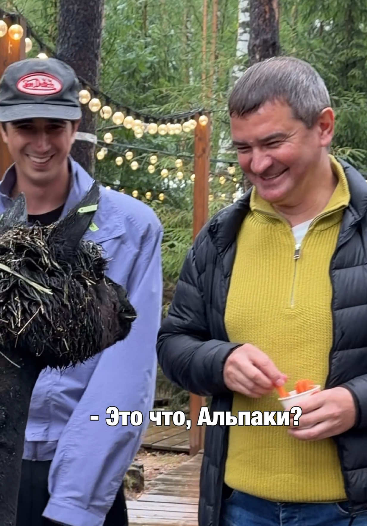 @Куруч Илья