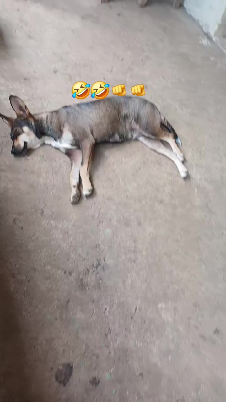 @El Tío Chilio 🧃💯💥💫