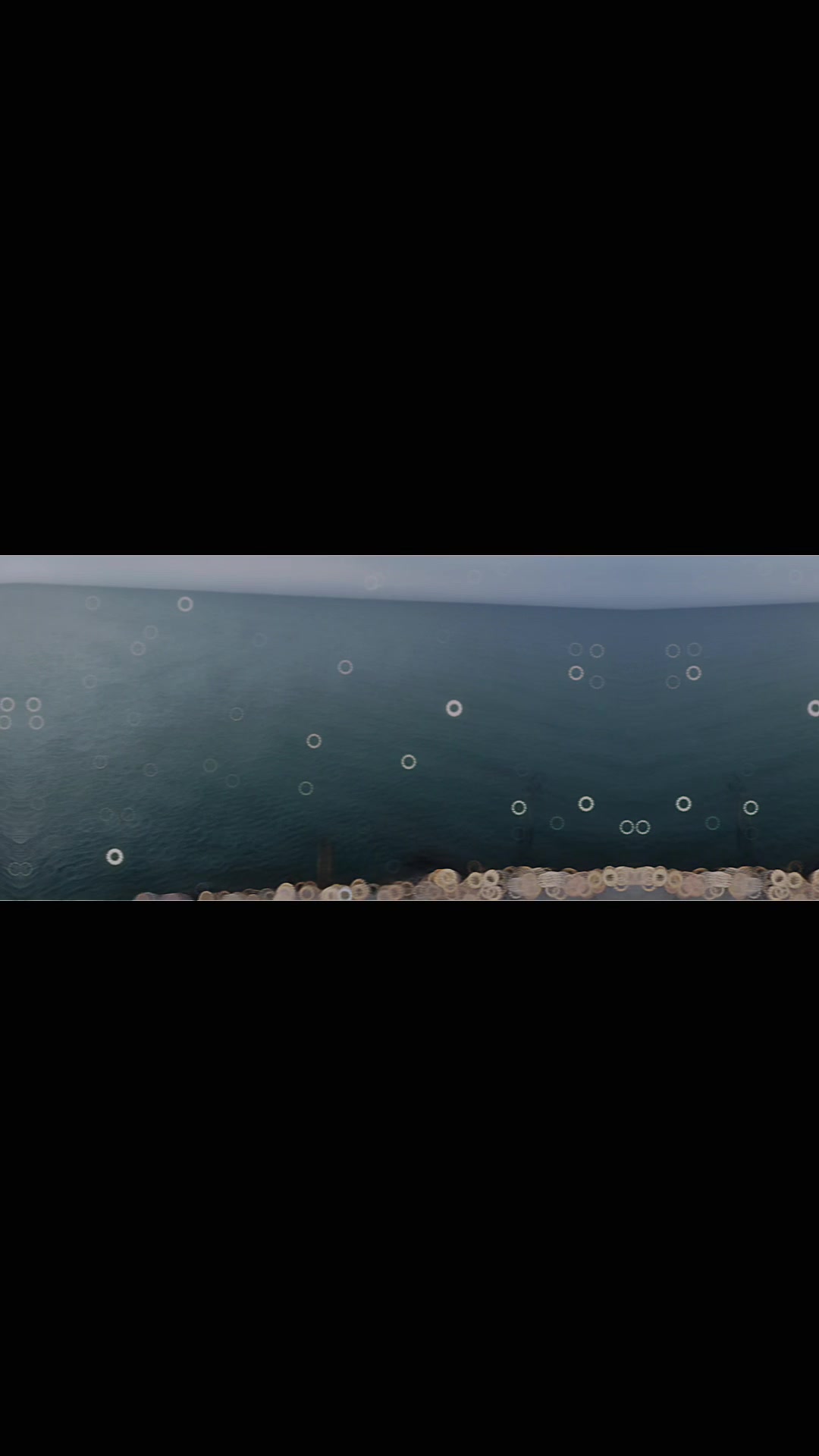 @Happy Aulakh
