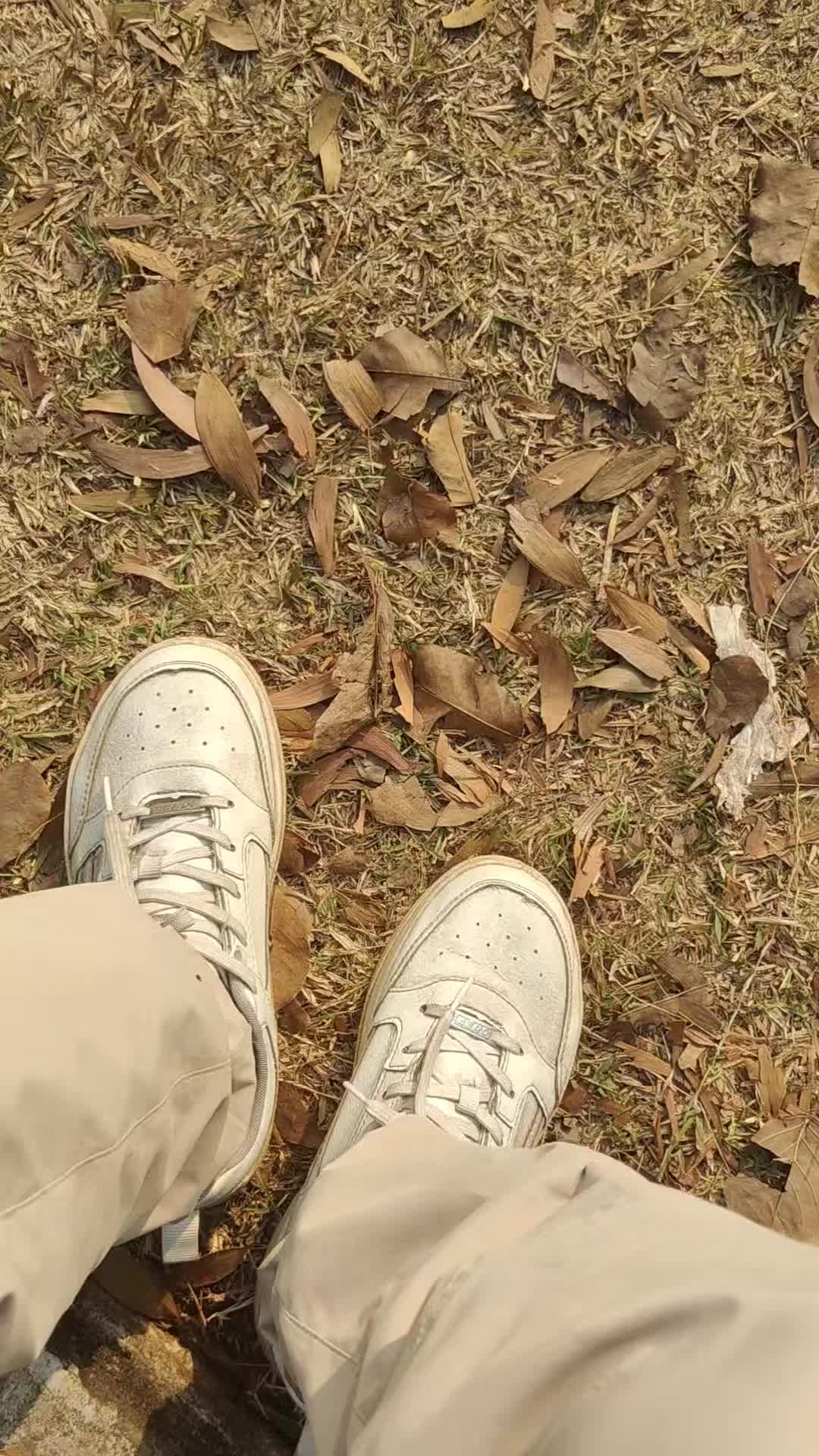 @who_heri