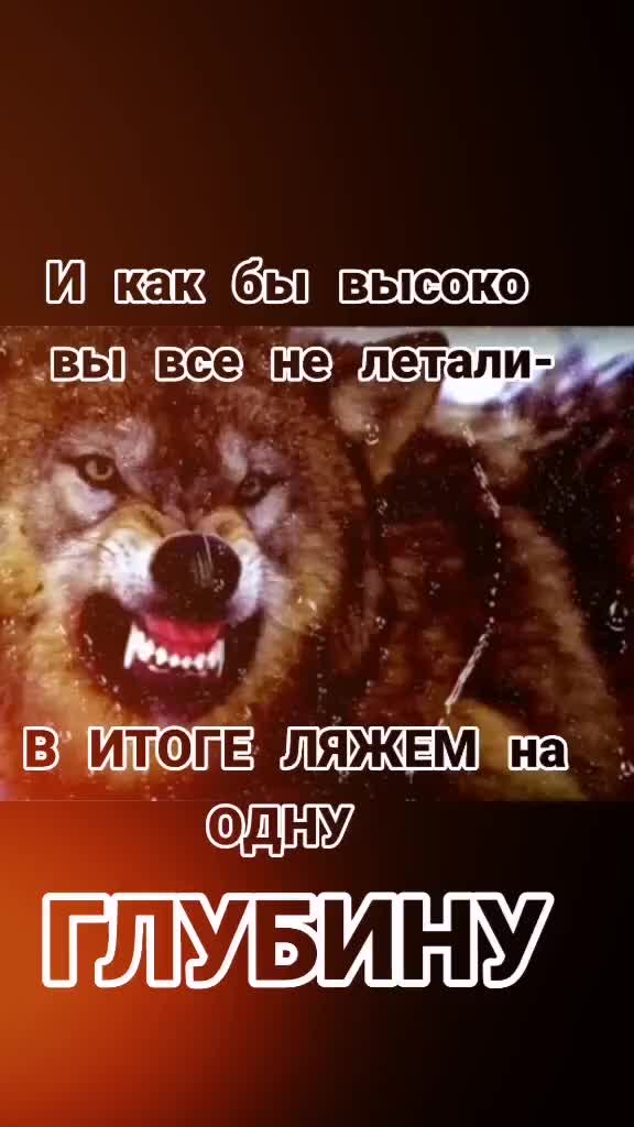 @✸Димон_Волк✸