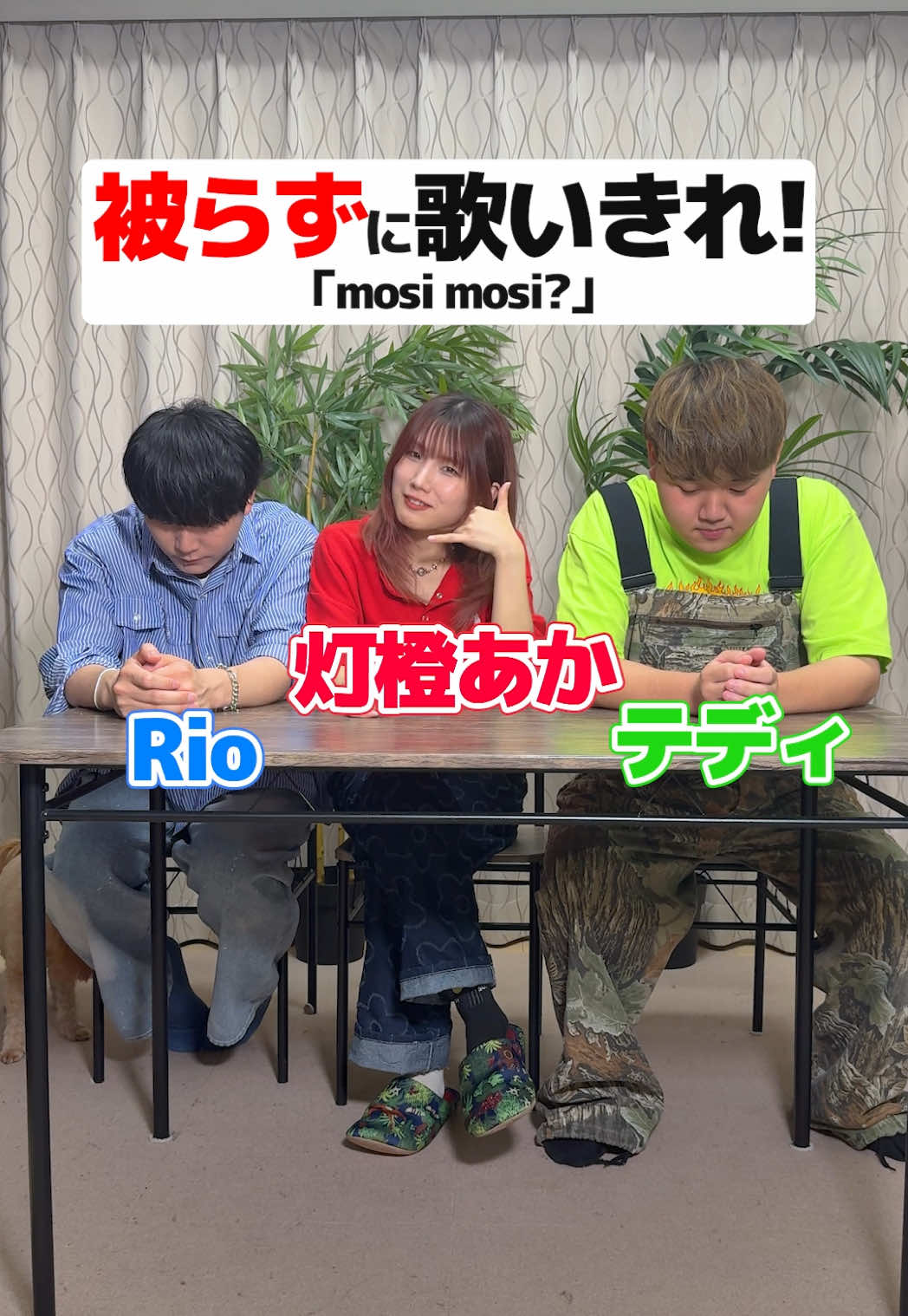 @WHITEBOX【official】