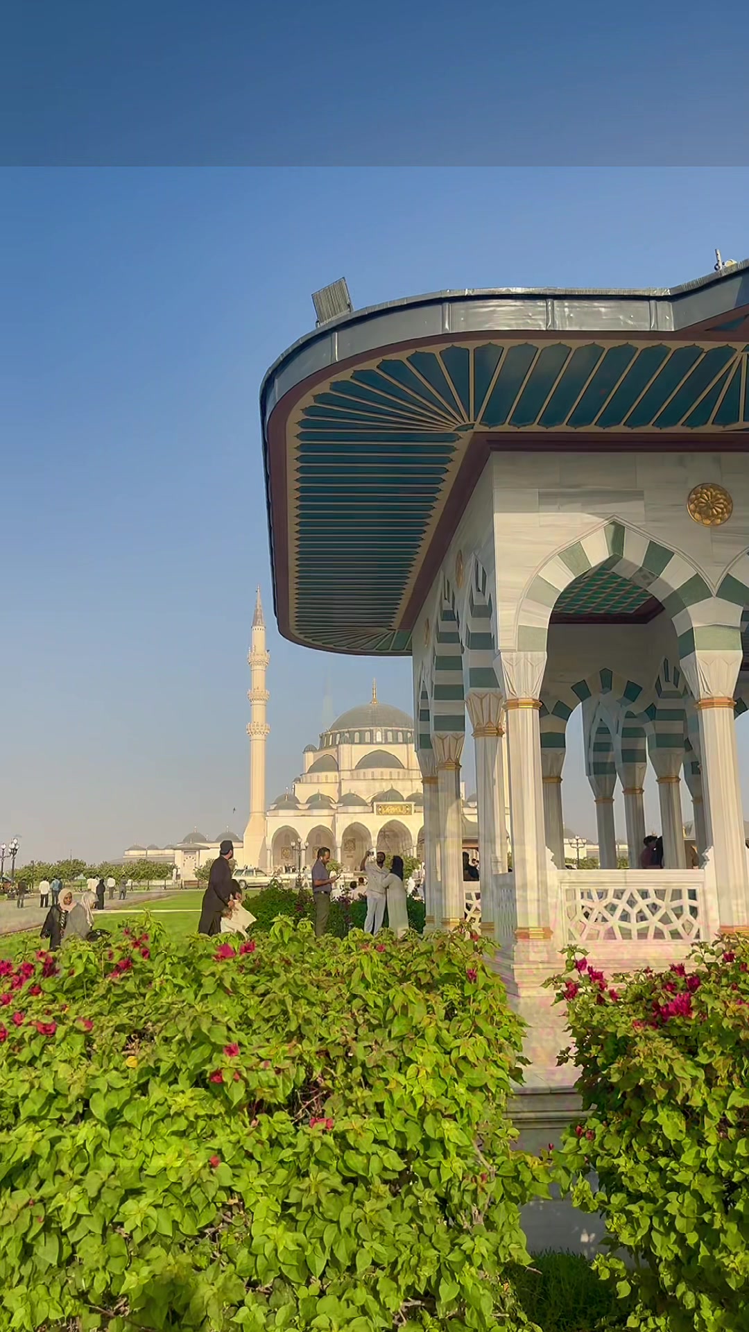 @thehammadgillani