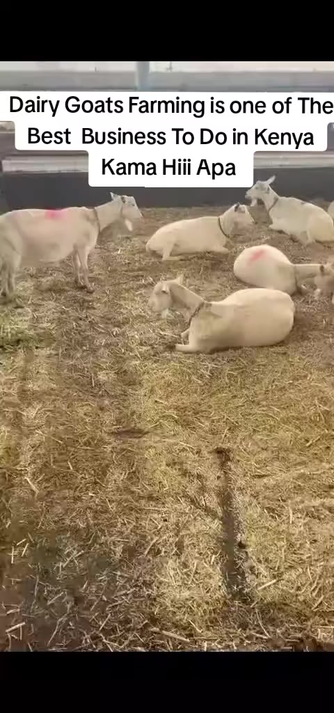 @Smart Farm Kenya