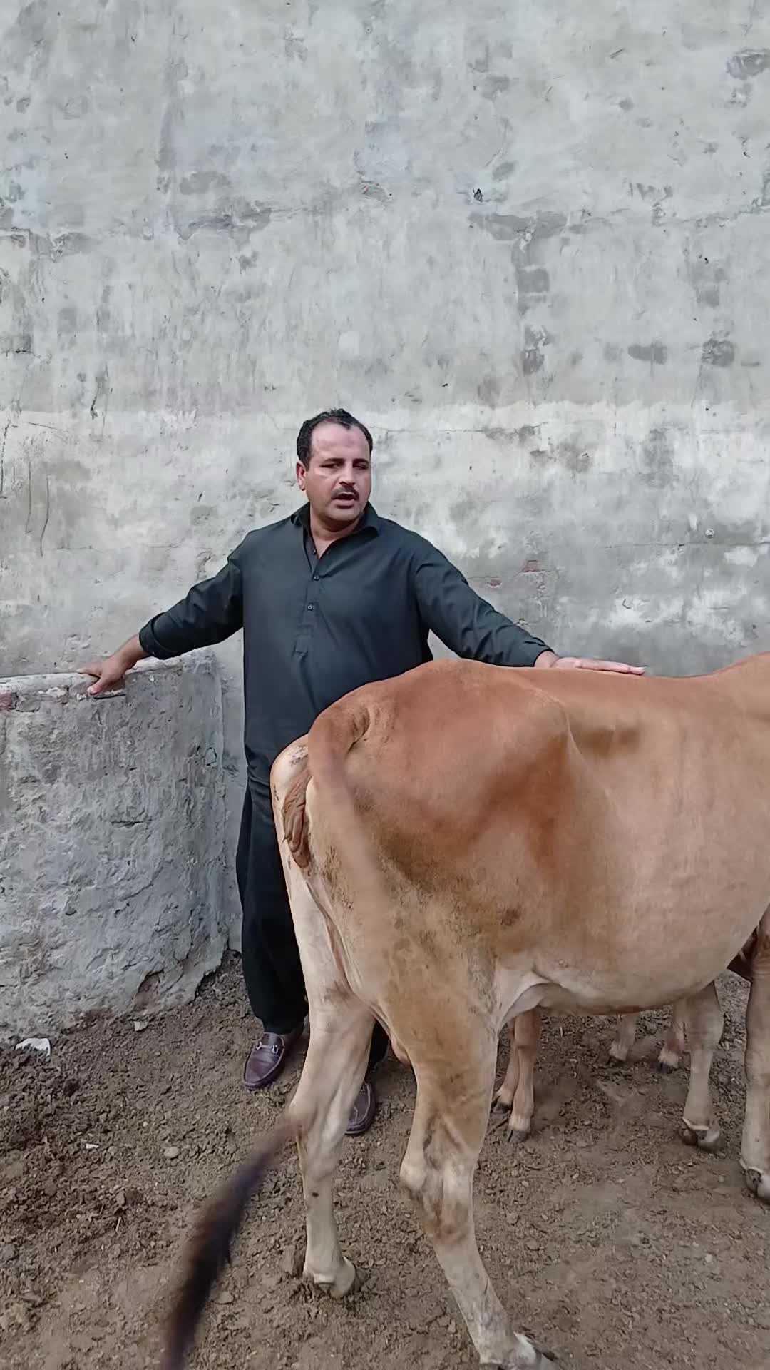 @Farming and Business Ideas