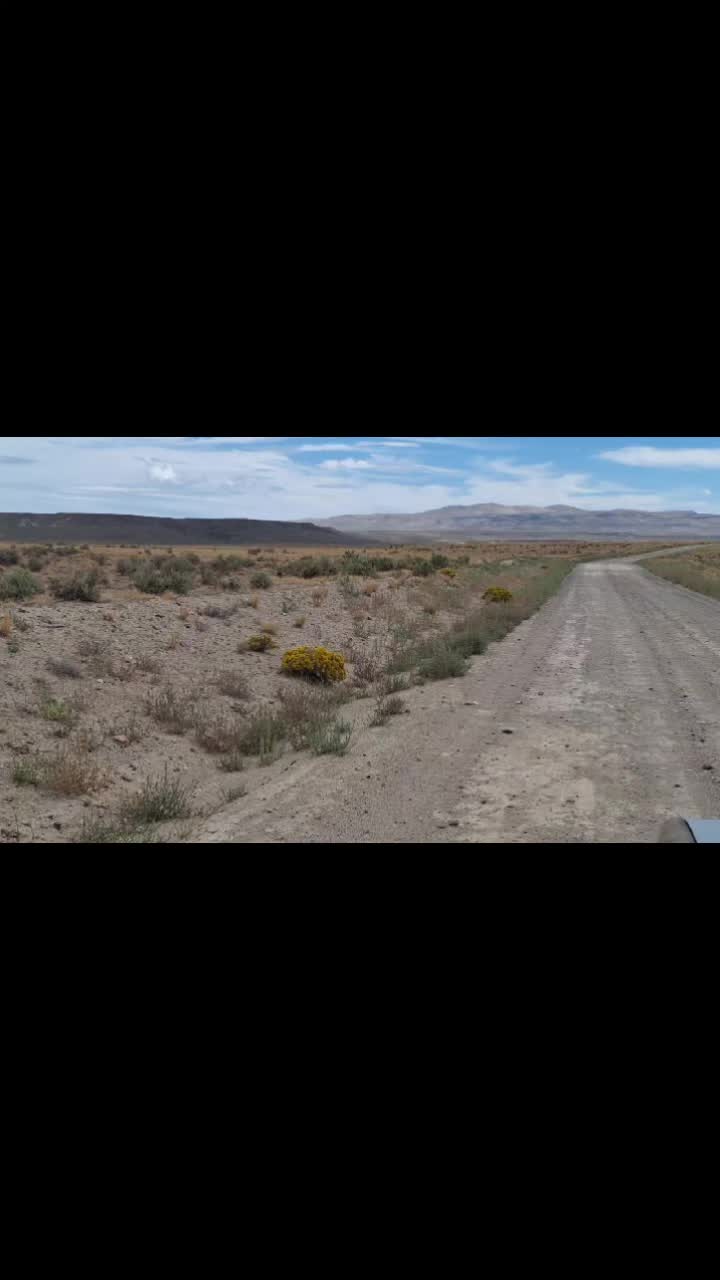 @Nevada HIGHDesert