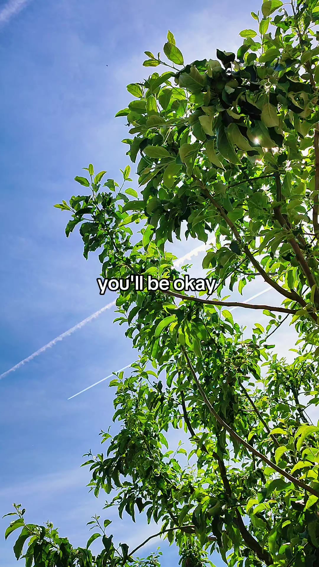 @Ezra