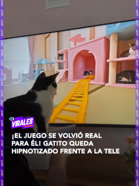 @RED UNO DE BOLIVIA