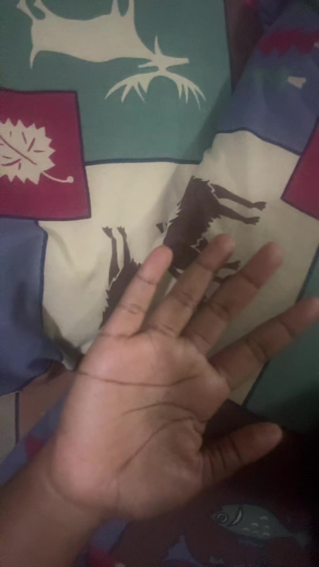 @โ ๐๐ถ๐ช ๐๐ญ๐ฒ๐ท๐ต๐ธ โ
