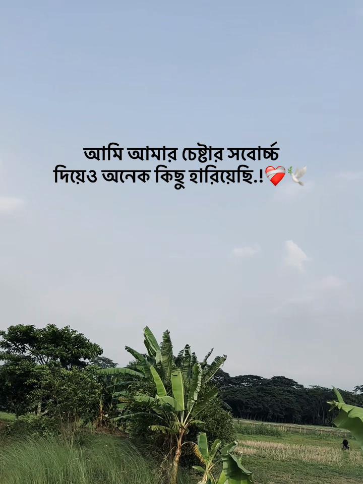 @সা জু 📜