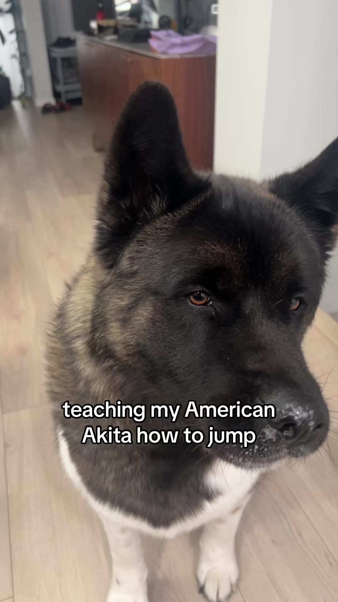 @tiara + winnie