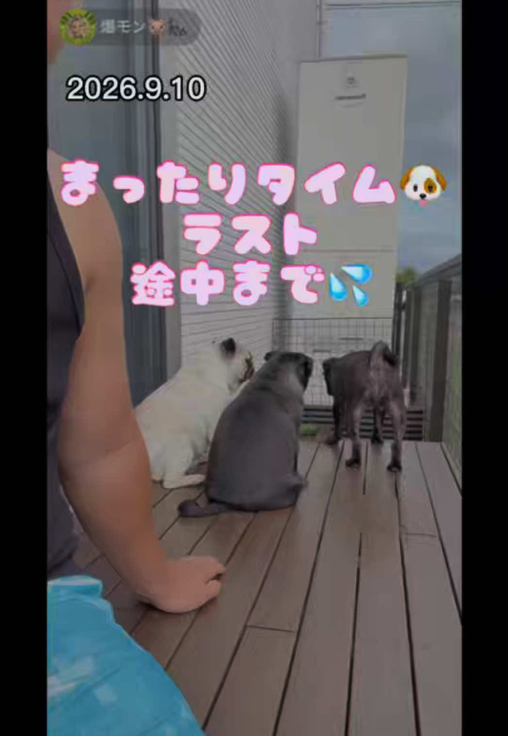@すずか🧊🫧