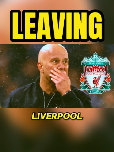 @Liverpool Daily News