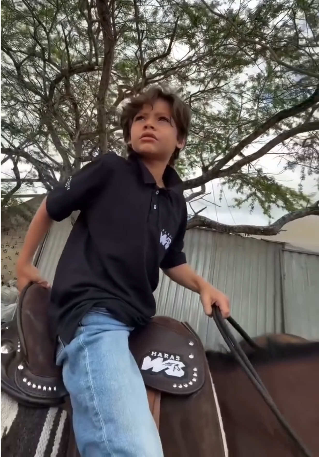@Wesley Safadão
