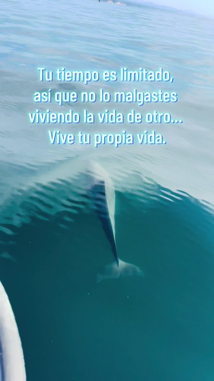@Dany11mor