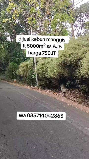 @all froperti