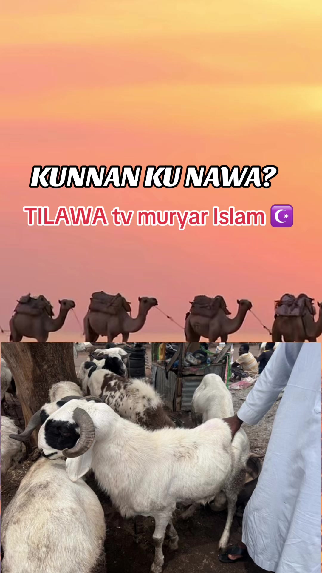 @TILAWA TV Official