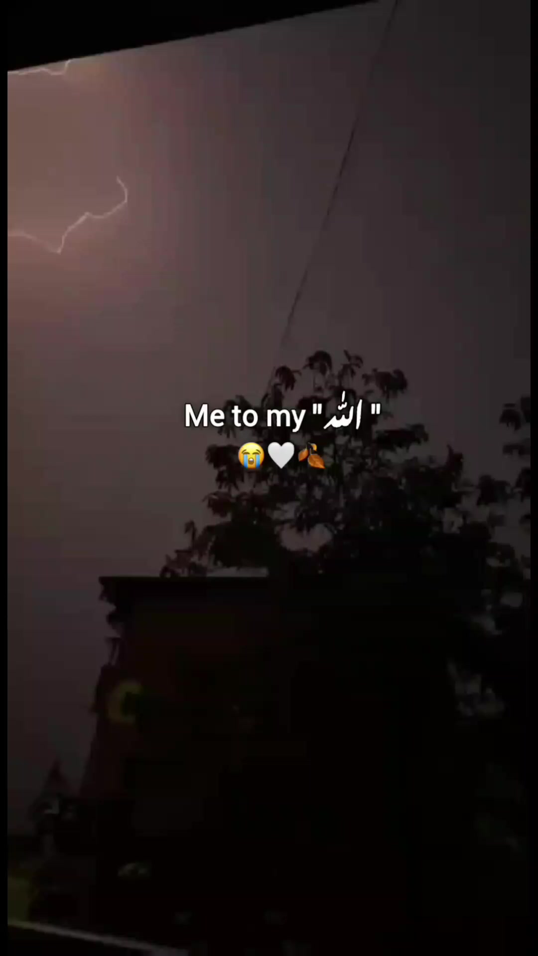 @⋆. 𐙚 ˚𝑺𝒚𝒆𝒅𝒂 ᥫ᭡.ִֶָ𓂃