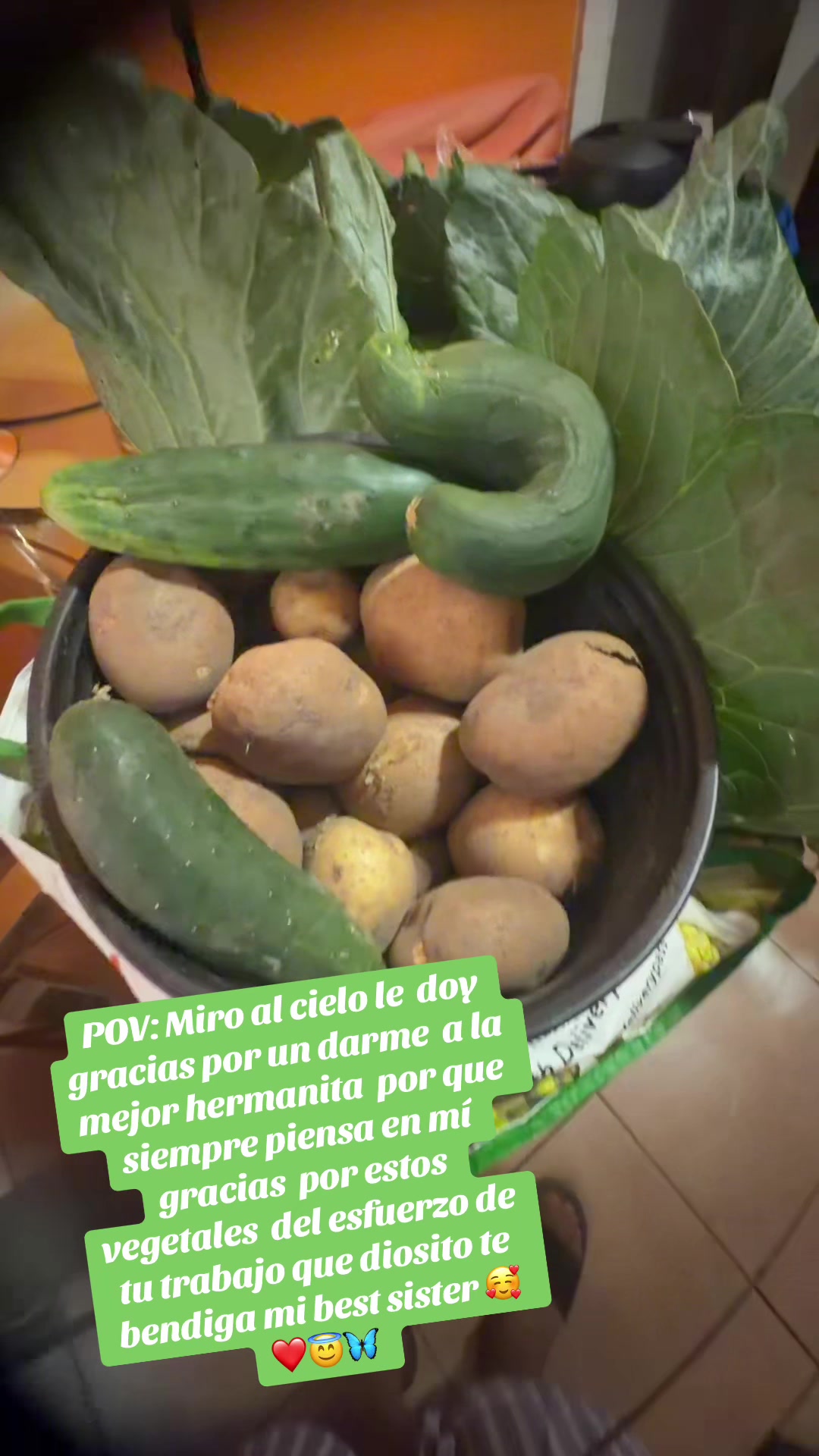 @rossypalaguachi6
