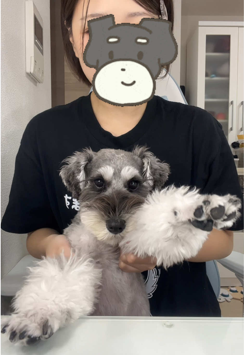 @たたしゃん🐾🪽💎