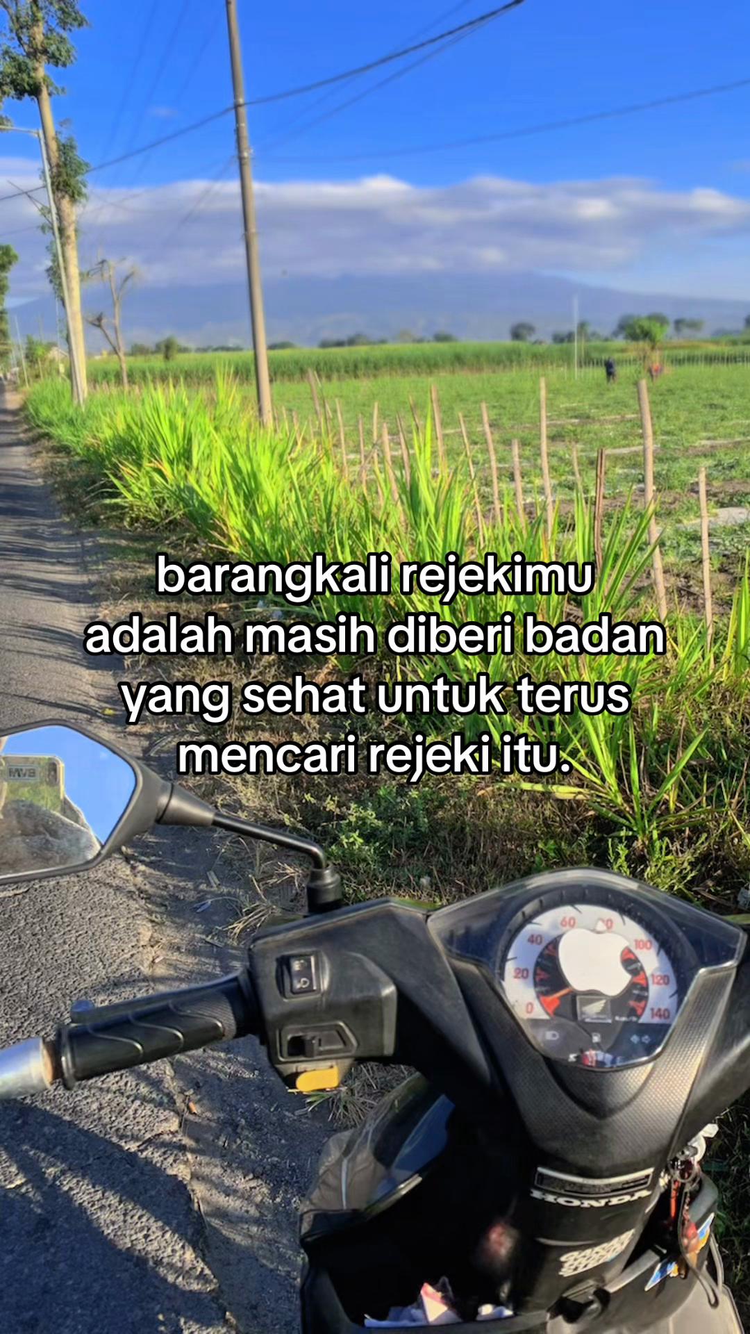 @mas vik_