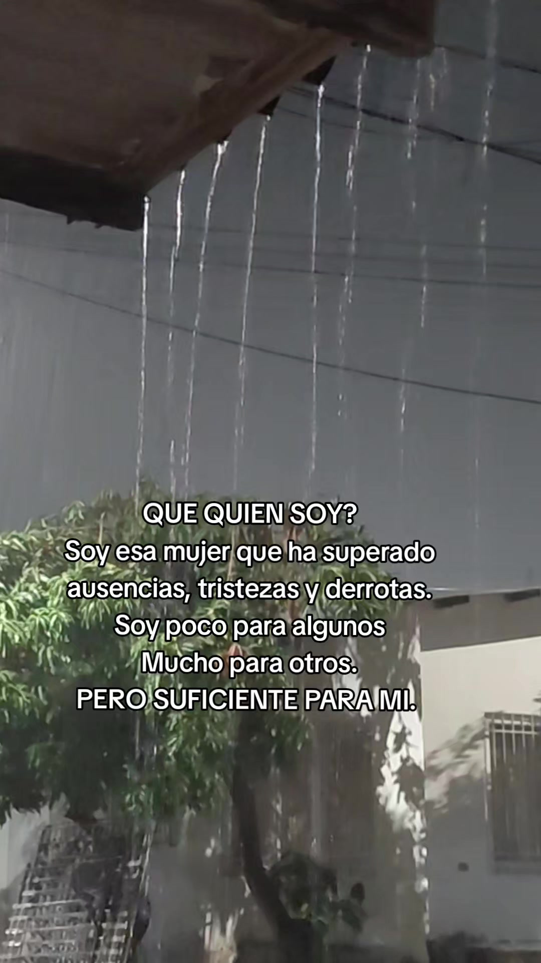 @🌸LUCHI🌸