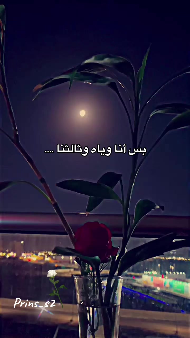 @prins_s2