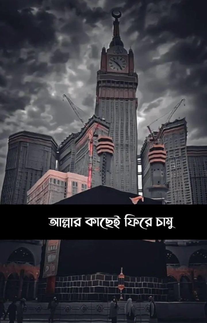 @Crazy King đ Sakib