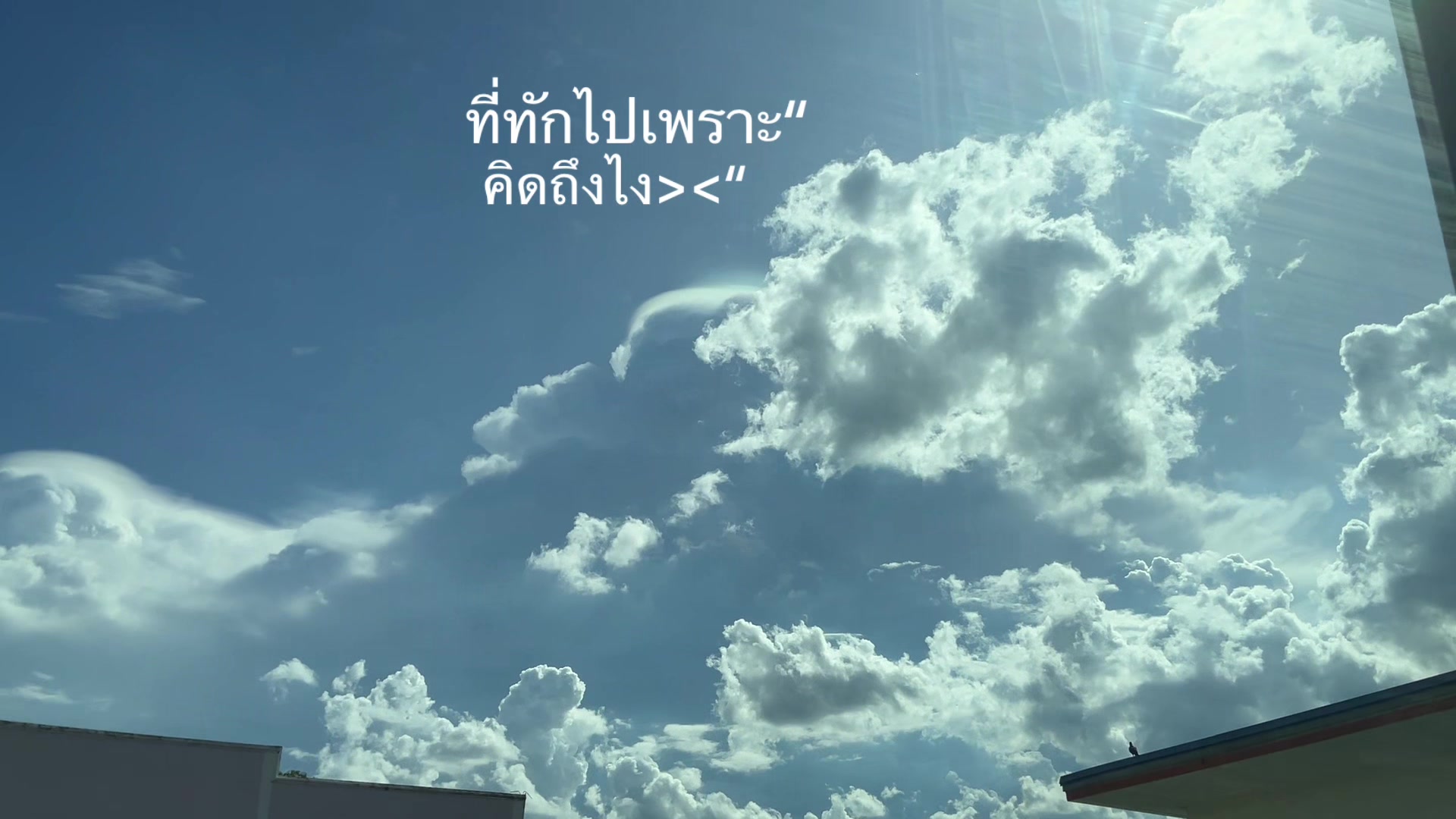 @⋆. 𐙚˚࿔ しなもん 𝜗𝜚˚⋆