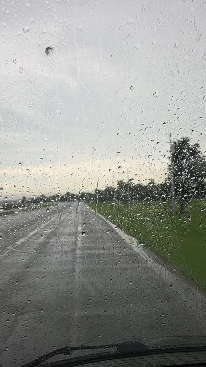 @فادي المصري