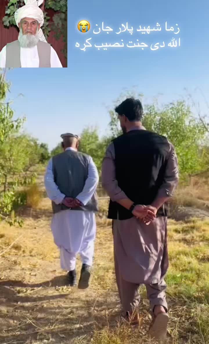 @Siddiq -Ahmadzai-