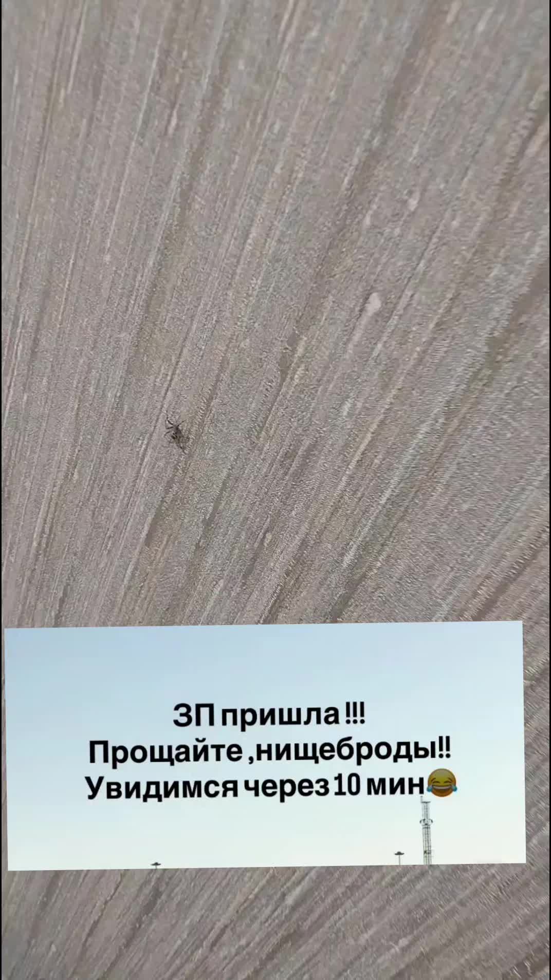 @🐬Гиза Рыбка🐬