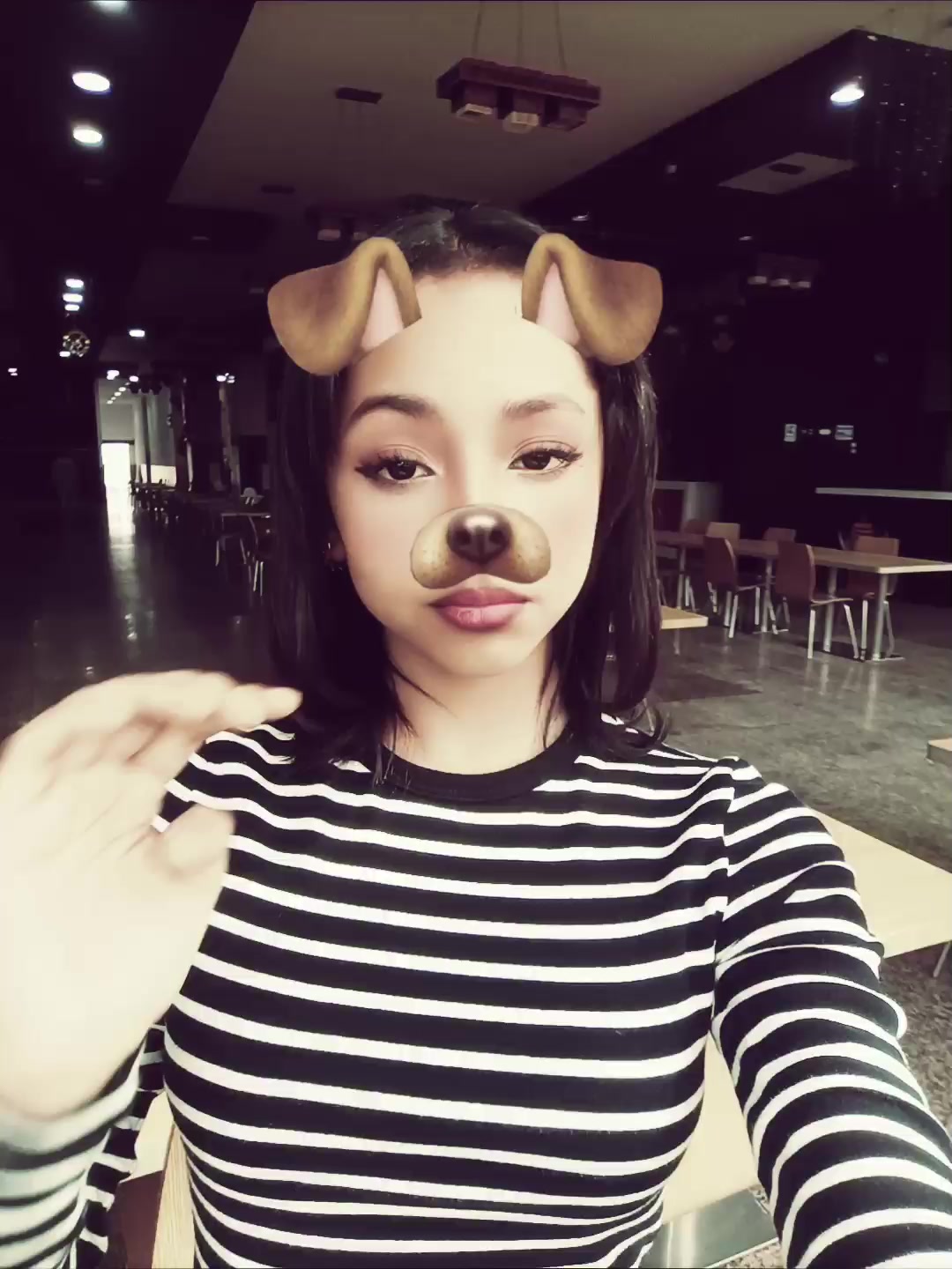 @Elina Elinajanesari