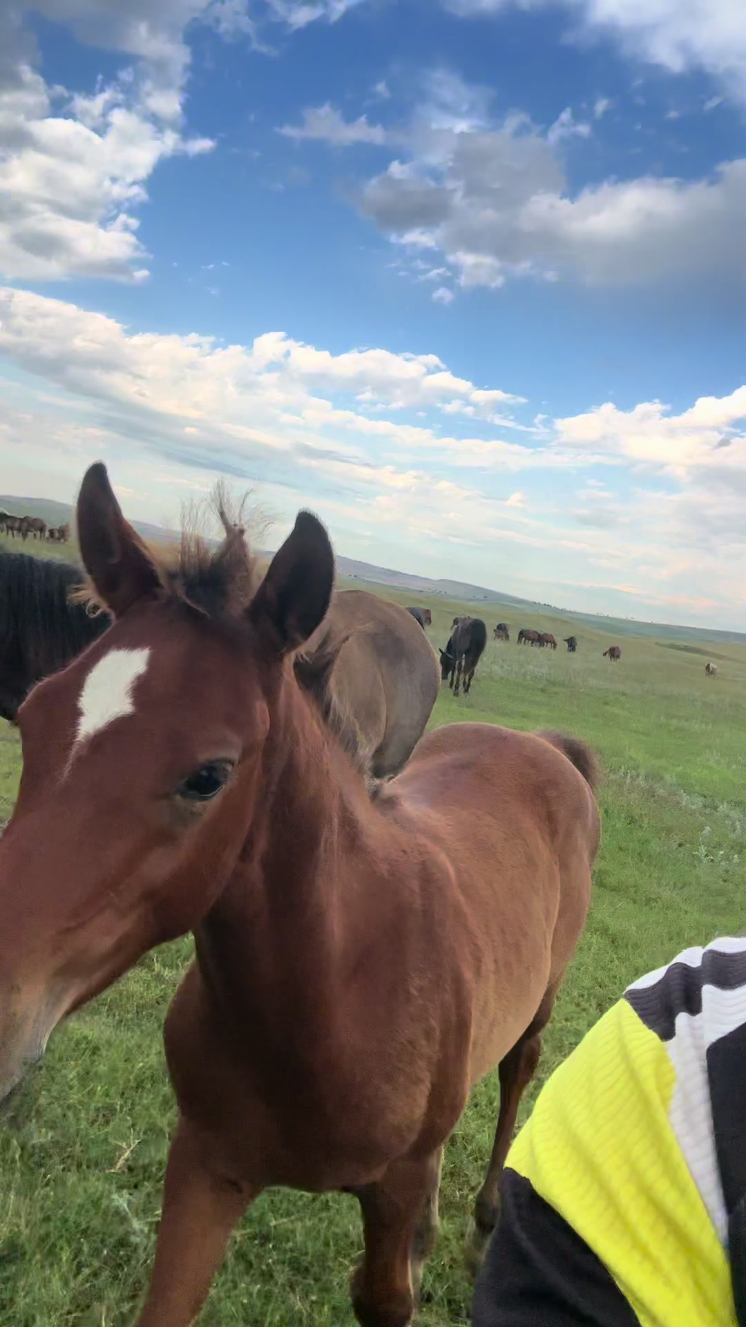 @MakvinStud