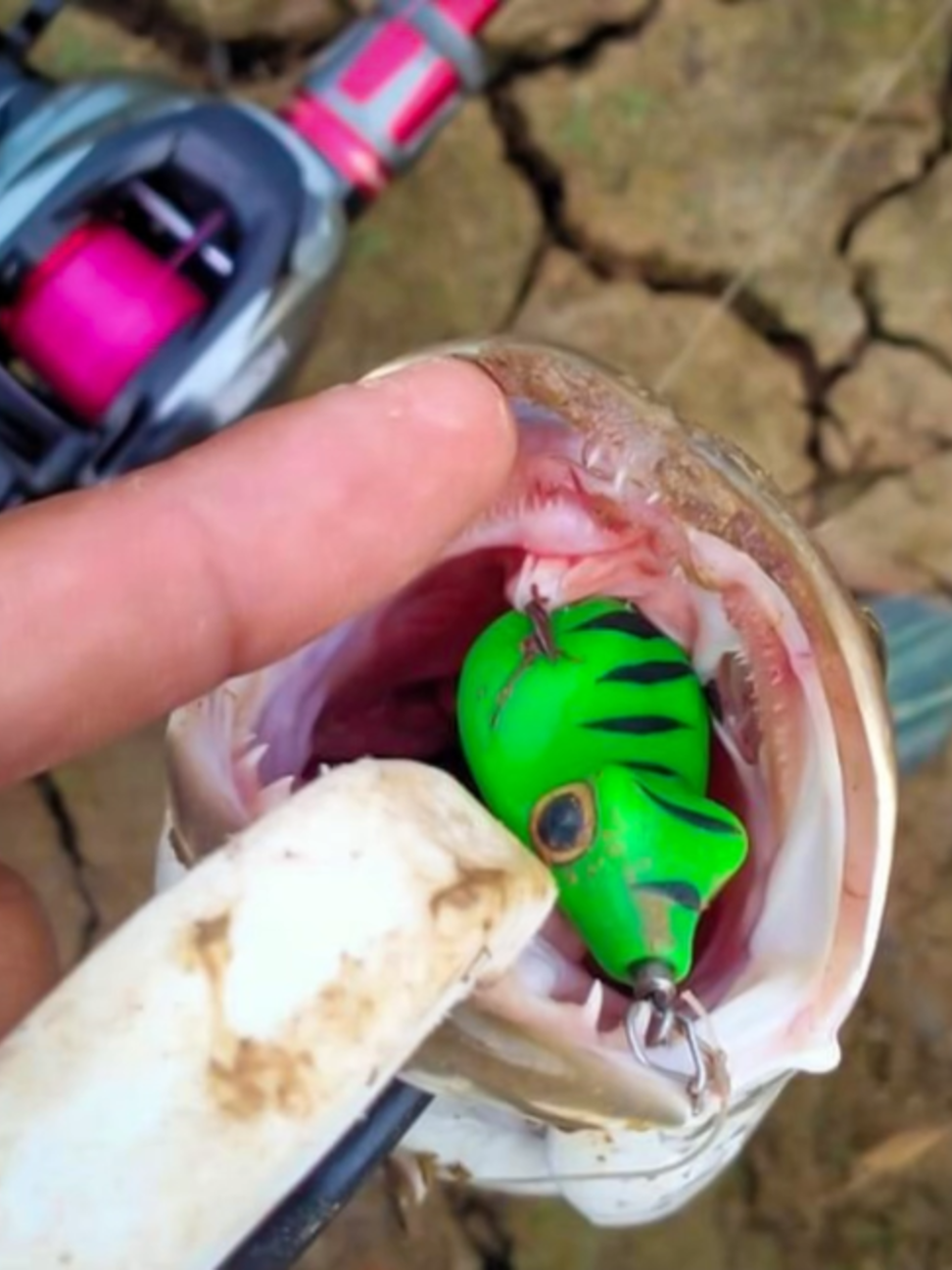 @EXP FISHING
