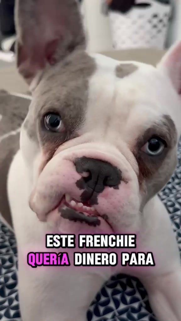 @Adriana L