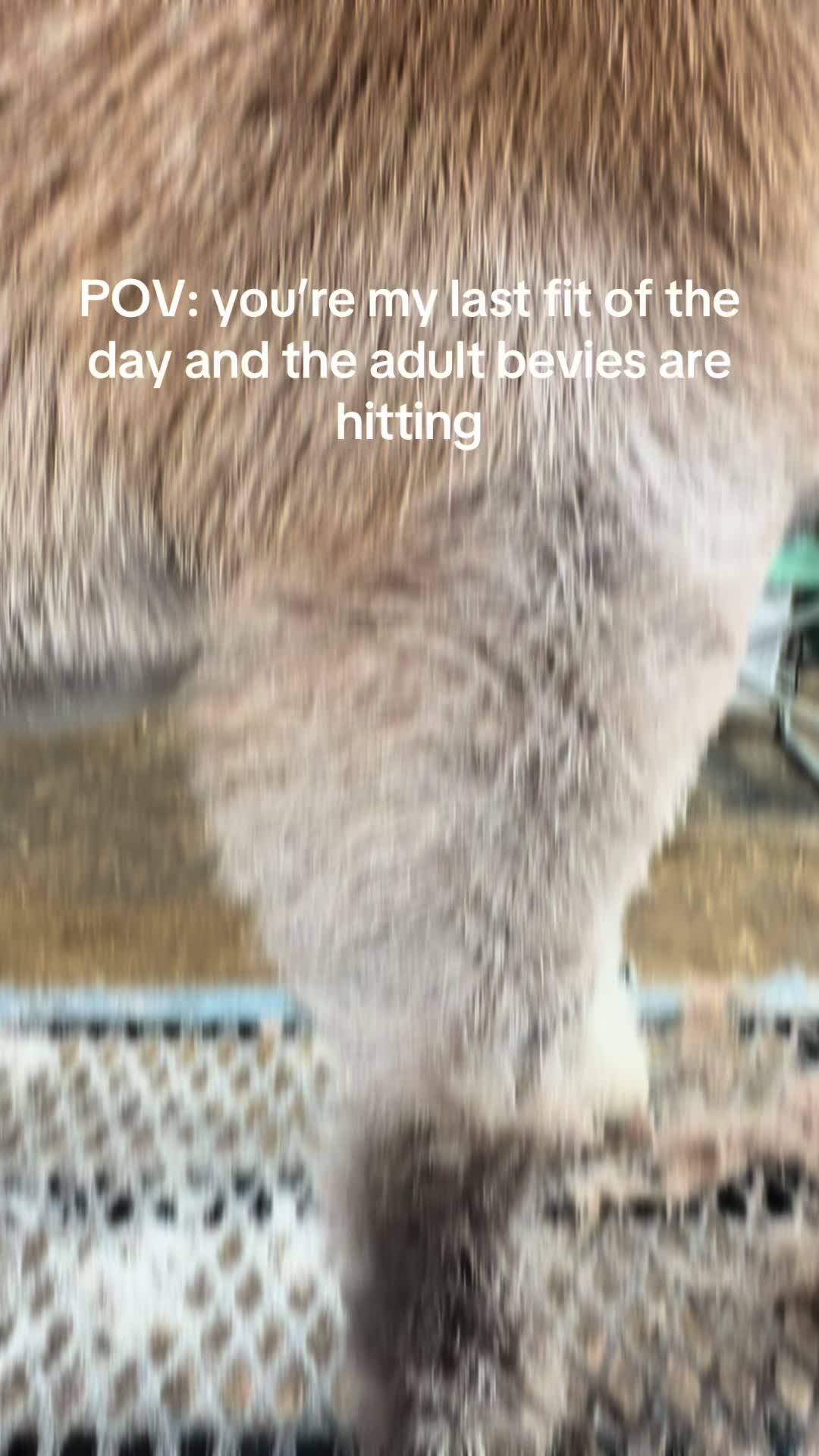 @Klein Kraal Farm🐐