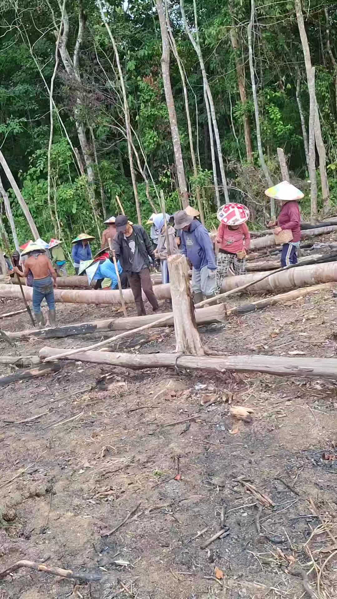 @@Borneo Explore_