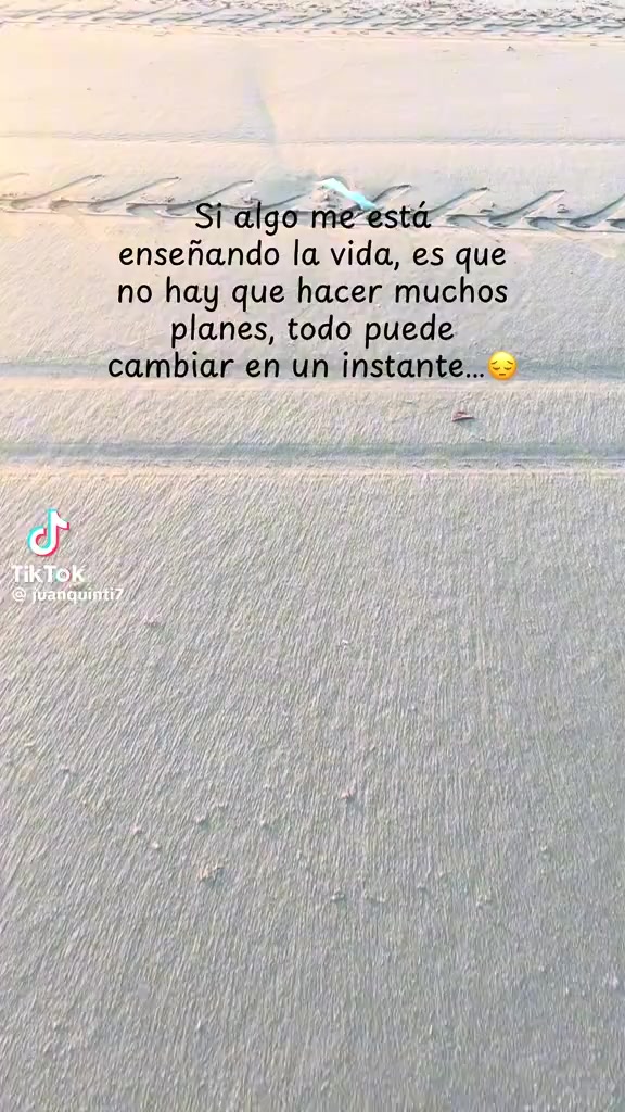@Lili Meneses