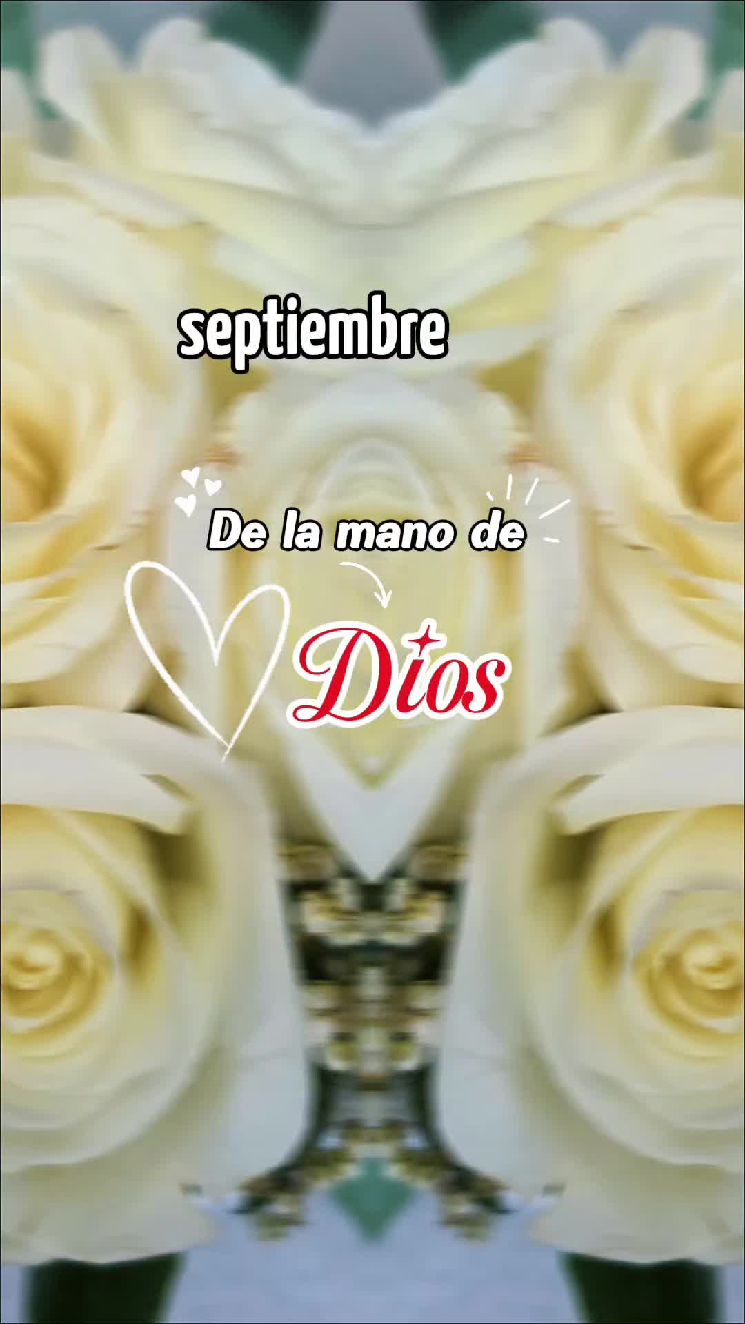 @doly.dfn