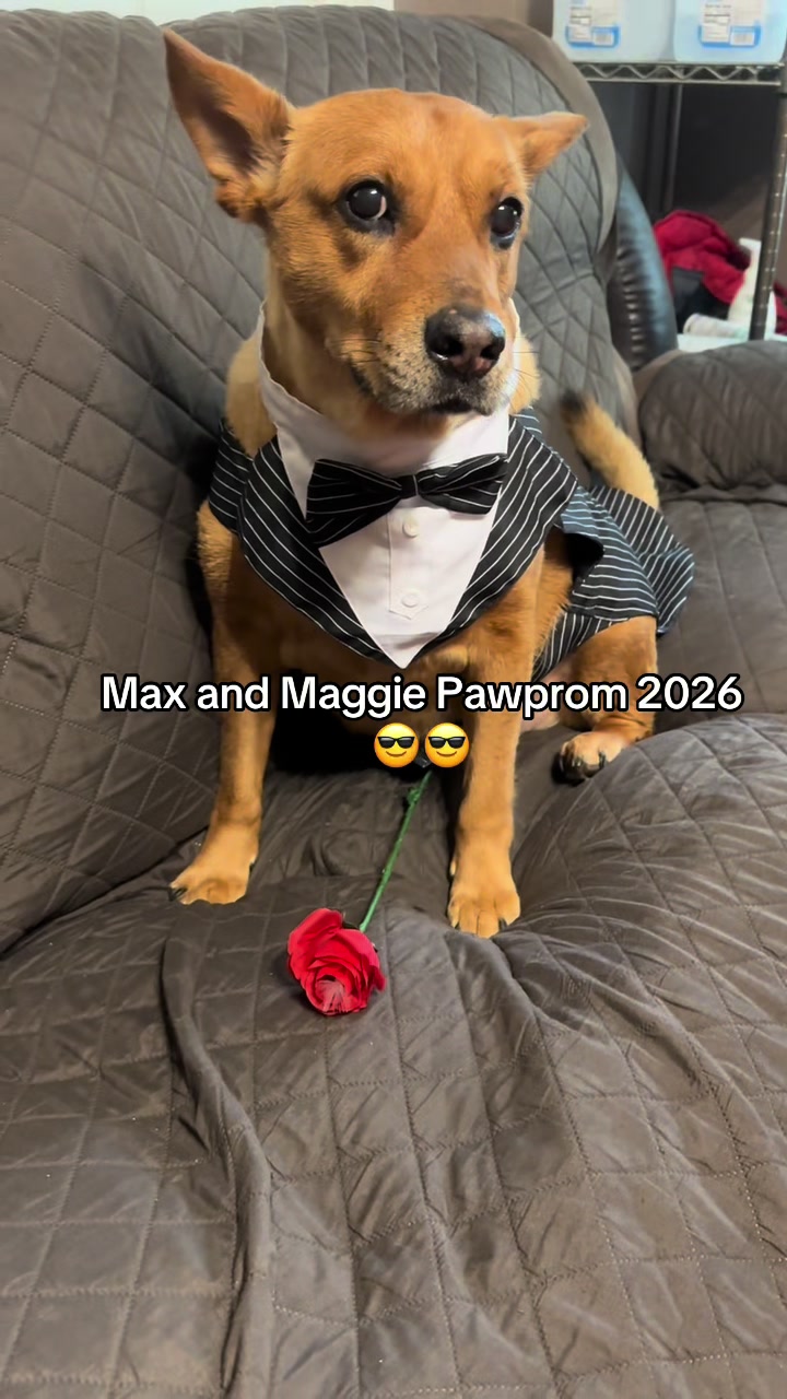 @Angela_maxx