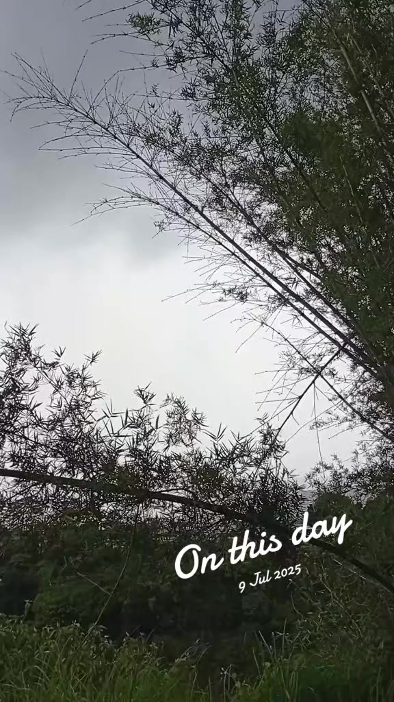 @sureshkumarxetrri